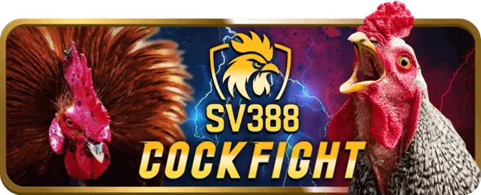 Tin Tức Esport g088 nhà cái